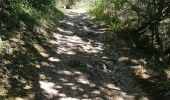 Trail Walking Burlats - billets l'Agout 18kms 577m 4h30 - Photo 12