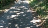 Trail Walking Burlats - billets l'Agout 18kms 577m 4h30 - Photo 11