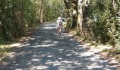 Trail Walking Burlats - billets l'Agout 18kms 577m 4h30 - Photo 9