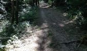 Trail Walking Burlats - billets l'Agout 18kms 577m 4h30 - Photo 4
