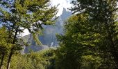 Trail Walking Sixt-Fer-à-Cheval - Cascades du bout du monde  - Photo 11