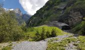 Tour Wandern Sixt-Fer-à-Cheval - Cascades du bout du monde  - Photo 10