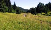 Randonnée V.T.T. Haut Valromey - Le Plateau de Retord - Photo 2