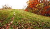 Tocht Mountainbike Haut Valromey - Le Plateau de Retord - Photo 1