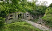 Trail Walking Mons-en-Laonnois - Autour du Fort de Laniscourt - Photo 5