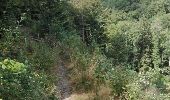 Trail Walking Vresse-sur-Semois - GR 126 Membre _Gedinne - Photo 17