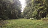 Tocht Stappen Longpont - en forêt de Retz_66_sur la Route Droite - Photo 1