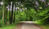 Tour Wandern Longpont - en forêt de Retz_66_sur la Route Droite - Photo 5