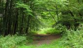 Trail Walking Longpont - en forêt de Retz_66_sur la Route Droite - Photo 13