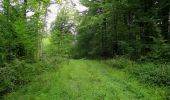 Trail Walking Longpont - en forêt de Retz_66_sur la Route Droite - Photo 16