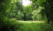 Randonnée Marche Longpont - en forêt de Retz_66_sur la Route Droite - Photo 12