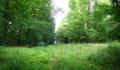 Tocht Stappen Longpont - en forêt de Retz_66_sur la Route Droite - Photo 19