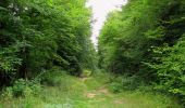 Trail Walking Longpont - en forêt de Retz_66_sur la Route Droite - Photo 3