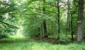 Tocht Stappen Longpont - en forêt de Retz_66_sur la Route Droite - Photo 20