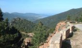 Tour Mountainbike Fozzano - Raid VTT en Corse - Burgo à Quenza - Photo 3