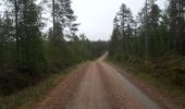 Tour Schneeschuhwandern Rovaniemi - cap nord jour 3 - Photo 10