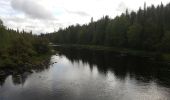 Excursión Raquetas de nieve Rovaniemi - cap nord jour 3 - Photo 4