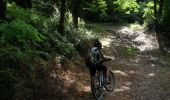 Trail Walking Aussillon - Mazamet - Fontbruno - Photo 1