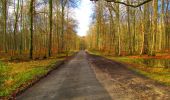 Tocht Stappen Longpont - en forêt de Retz_67_ballade (1) en toute saison - Photo 13