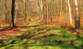 Percorso Marcia Longpont - en forêt de Retz_67_ballade (1) en toute saison - Photo 19