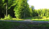 Randonnée Marche Longpont - en forêt de Retz_67_ballade (1) en toute saison - Photo 12