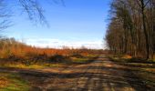 Trail Walking Longpont - en forêt de Retz_67_ballade (1) en toute saison - Photo 9