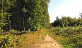 Randonnée Marche Longpont - en forêt de Retz_67_ballade (1) en toute saison - Photo 3