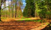 Tocht Stappen Longpont - en forêt de Retz_67_ballade (1) en toute saison - Photo 8