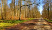 Randonnée Marche Longpont - en forêt de Retz_67_ballade (1) en toute saison - Photo 18