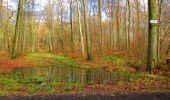 Randonnée Marche Longpont - en forêt de Retz_67_ballade (1) en toute saison - Photo 17