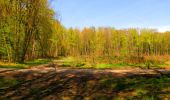 Tocht Stappen Longpont - en forêt de Retz_67_ballade (1) en toute saison - Photo 11