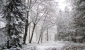 Randonnée Marche Longpont - en forêt de Retz_67_ballade (1) en toute saison - Photo 6