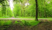 Randonnée Marche Longpont - en forêt de Retz_67_ballade (1) en toute saison - Photo 16
