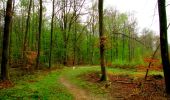 Percorso Marcia Longpont - en forêt de Retz_67_ballade (1) en toute saison - Photo 4