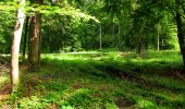 Percorso Marcia Longpont - en forêt de Retz_67_ballade (1) en toute saison - Photo 20
