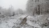 Tocht Stappen Longpont - en forêt de Retz_67_ballade (1) en toute saison - Photo 1