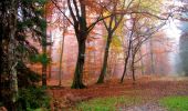 Tocht Stappen Longpont - en forêt de Retz_67_ballade (1) en toute saison - Photo 5