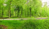 Tocht Stappen Longpont - en forêt de Retz_67_ballade (1) en toute saison - Photo 15