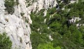 Trail Walking Marseille - Calanque de Sugiton - Photo 9