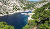 Trail Walking Marseille - Calanque de Sugiton - Photo 4