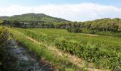 Randonnée Marche Saint-Cyr-sur-Mer - Calanque du cap d'Alon - sentier des vignes - sentier côtier - Photo 1