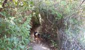 Trail Walking Saint-Cyr-sur-Mer - calanque du cap d'Alon - sentier des vignes - sentier côtier - Photo 3
