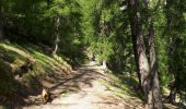 Trail Walking Embrun - Lac de l'Hivernet - Photo 10