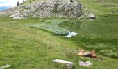 Excursión Senderismo Embrun - Lac de l'Hivernet - Photo 3