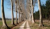 Percorso Mountainbike Sauternes - Autour de Sauternes - Photo 1