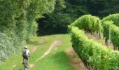 Trail Mountain bike Créon-d'Armagnac - Autour de Créon d'Armagnac - Photo 1