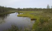 Tocht Sneeuwschoenen Sodankylä - Cap Nord Jour 4 de Vierela à Kierinki - Photo 3