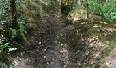 Trail Walking Saint-Hélen - 24.08.2018 - Val Hervelin, Mordreuc - Photo 12