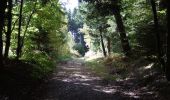 Trail Walking Montfermy - La forêt domaniale de la Chartreuse - Photo 2