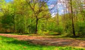 Randonnée Marche Longpont - en forêt de Retz_68_ballade (2) en toute saison - Photo 19